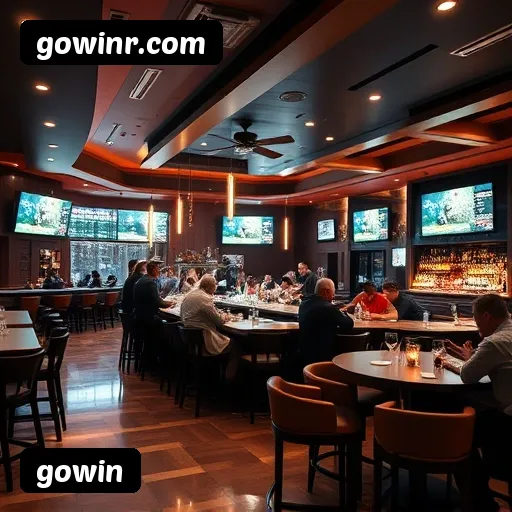 Termos e Condições Transparentes gowin